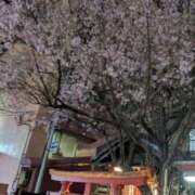 ヒメ日記 2025/04/12 00:54 投稿 ゆりえ 熟女の風俗最終章 仙台店