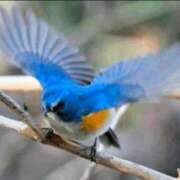 ヒメ日記 2025/04/15 09:04 投稿 ゆりえ 熟女の風俗最終章 仙台店