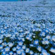 ヒメ日記 2025/04/21 18:14 投稿 ゆりえ 熟女の風俗最終章 仙台店