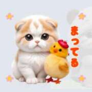 ヒメ日記 2025/05/19 09:54 投稿 ゆりえ 熟女の風俗最終章 仙台店