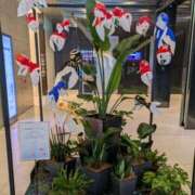 ヒメ日記 2025/08/16 09:04 投稿 ゆりえ 熟女の風俗最終章 仙台店