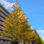 ヒメ日記 2025/11/03 08:55 投稿 ゆりえ 熟女の風俗最終章 仙台店