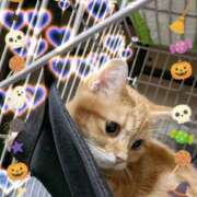 ヒメ日記 2025/11/07 09:24 投稿 ゆりえ 熟女の風俗最終章 仙台店