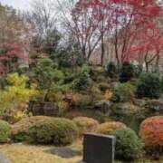 ゆりえ こんにちは 熟女の風俗最終章 仙台店