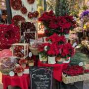 ヒメ日記 2025/12/18 20:14 投稿 ゆりえ 熟女の風俗最終章 仙台店