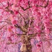 ヒメ日記 2026/02/28 22:24 投稿 ゆりえ 熟女の風俗最終章 仙台店