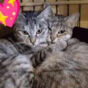 ヒメ日記 2026/03/22 22:54 投稿 ゆりえ 熟女の風俗最終章 仙台店