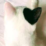 ヒメ日記 2026/03/25 17:39 投稿 ゆりえ 熟女の風俗最終章 仙台店