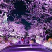 ヒメ日記 2026/04/11 15:28 投稿 ゆりえ 熟女の風俗最終章 仙台店