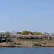 ゆりえ 最終日 熟女の風俗最終章 仙台店