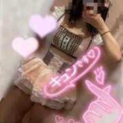 ヒメ日記 2025/02/23 11:05 投稿 さくらん ドキドキＮＴＲ寝取られ生電話