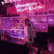 ヒメ日記 2025/04/22 19:27 投稿 さくらん ドキドキＮＴＲ寝取られ生電話