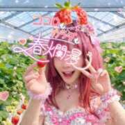 ヒメ日記 2026/04/08 12:03 投稿 さくらん ドキドキＮＴＲ寝取られ生電話