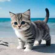 ヒメ日記 2025/01/26 11:55 投稿 えな 熟女家 東大阪店（布施・長田）