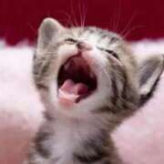 ヒメ日記 2025/05/24 09:55 投稿 えな 熟女家 東大阪店（布施・長田）