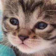 ヒメ日記 2025/06/21 11:06 投稿 えな 熟女家 東大阪店（布施・長田）