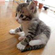 ヒメ日記 2025/08/03 10:27 投稿 えな 熟女家 東大阪店（布施・長田）