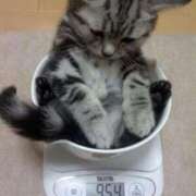 ヒメ日記 2025/09/02 09:15 投稿 えな 熟女家 東大阪店（布施・長田）