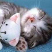 ヒメ日記 2025/10/05 11:45 投稿 えな 熟女家 東大阪店（布施・長田）