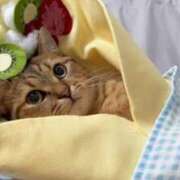 えな 体調不良 熟女家 東大阪店（布施・長田）