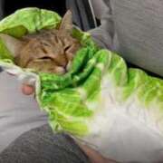 ヒメ日記 2026/01/19 00:25 投稿 えな 熟女家 東大阪店（布施・長田）