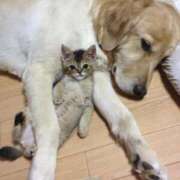 ヒメ日記 2026/01/24 09:18 投稿 えな 熟女家 東大阪店（布施・長田）