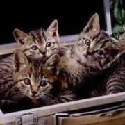 えな 月のもの 熟女家 東大阪店（布施・長田）