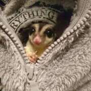 ヒメ日記 2026/03/06 09:16 投稿 えな 熟女家 東大阪店（布施・長田）