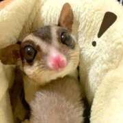 ヒメ日記 2026/03/19 09:55 投稿 えな 熟女家 東大阪店（布施・長田）