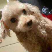 ヒメ日記 2025/10/15 08:05 投稿 ちなみ 熟女総本店