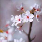 ヒメ日記 2026/03/31 09:42 投稿 ちなみ 熟女総本店