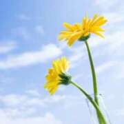 ヒメ日記 2026/04/15 09:42 投稿 ちなみ 熟女総本店