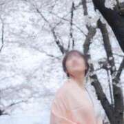 ヒメ日記 2025/04/03 23:41 投稿 めい 名古屋回春性感マッサージ倶楽部