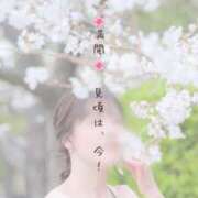 ヒメ日記 2025/04/06 08:52 投稿 めい 名古屋回春性感マッサージ倶楽部