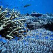 ヒメ日記 2025/07/08 21:46 投稿 めい 名古屋回春性感マッサージ倶楽部