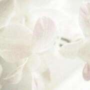 新人・まりな 出勤予定🫶🏻 グランドオペラ福岡