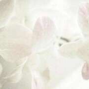 新人・まりな 出勤Day🙌🏻✨ グランドオペラ福岡