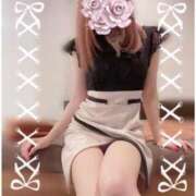 ヒメ日記 2024/12/14 18:19 投稿 橋本あすか ブルーバード