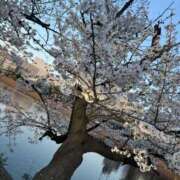 ヒメ日記 2025/04/22 12:56 投稿 のん Candy×Candy （キャンディ×キャンディ）