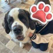 ヒメ日記 2025/07/18 19:49 投稿 べが 11チャンネル