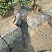 ヒメ日記 2026/02/22 13:48 投稿 べが 11チャンネル