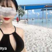 ヒメ日記 2025/02/06 08:00 投稿 さあや シャングリラ