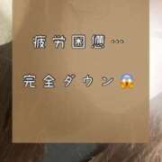 ヒメ日記 2025/06/08 13:15 投稿 りか ダイナマイト（鶯谷）