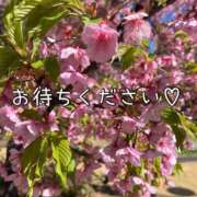 ヒメ日記 2026/04/02 20:31 投稿 りか ダイナマイト（鶯谷）