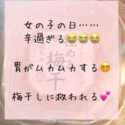 りか 散歩日和なのに………😵‍💫 ダイナマイト（鶯谷）