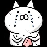 ヒメ日記 2025/02/14 18:04 投稿 さかした 川崎・東横人妻城