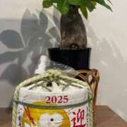 ヒメ日記 2025/01/01 23:11 投稿 ゆずき Second Love（セカンドラブ）