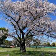 ヒメ日記 2025/04/09 11:50 投稿 ゆずき Second Love（セカンドラブ）