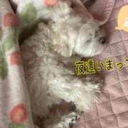ヒメ日記 2025/04/12 14:12 投稿 ゆずき Second Love（セカンドラブ）