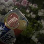 ヒメ日記 2025/04/26 01:05 投稿 ゆずき Second Love（セカンドラブ）